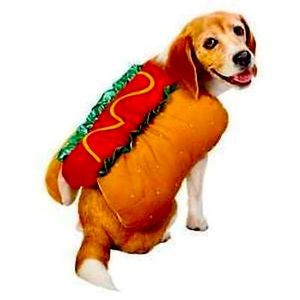 Pet Hotdog Dog Costume